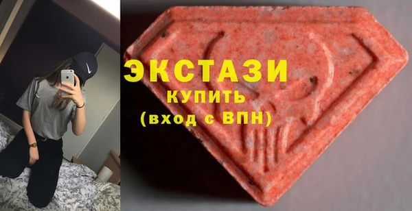 ECSTASY Богородицк