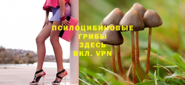 первитин Пересвет