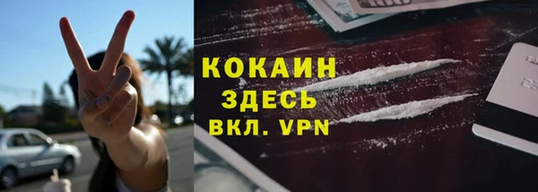 ECSTASY Богородицк