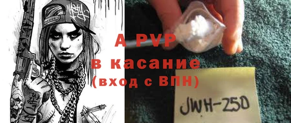 ECSTASY Богородицк