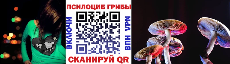 Галлюциногенные грибы ЛСД  гидра ТОР  Велиж  что такое наркотик 